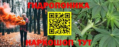 гашик Брянск
