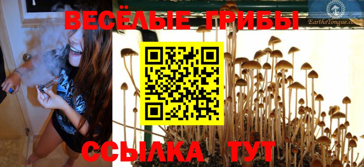 хочу   Галлюциногенные грибы мицелий  Вход с VPN  Белая Калитва 